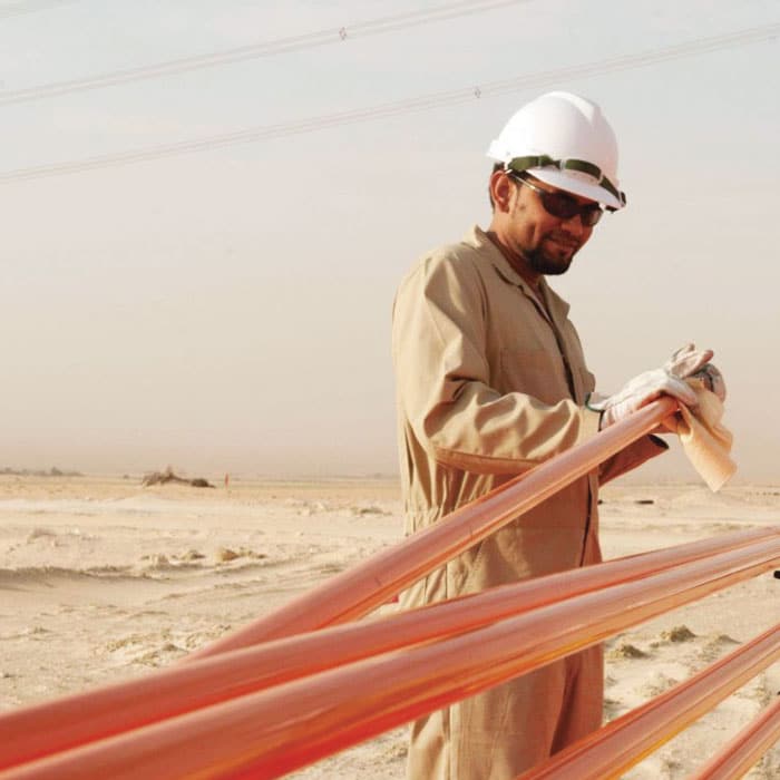 Ritz Ferramentas - Linha de Produtos: Componentes de Restauração e Acondicionamento